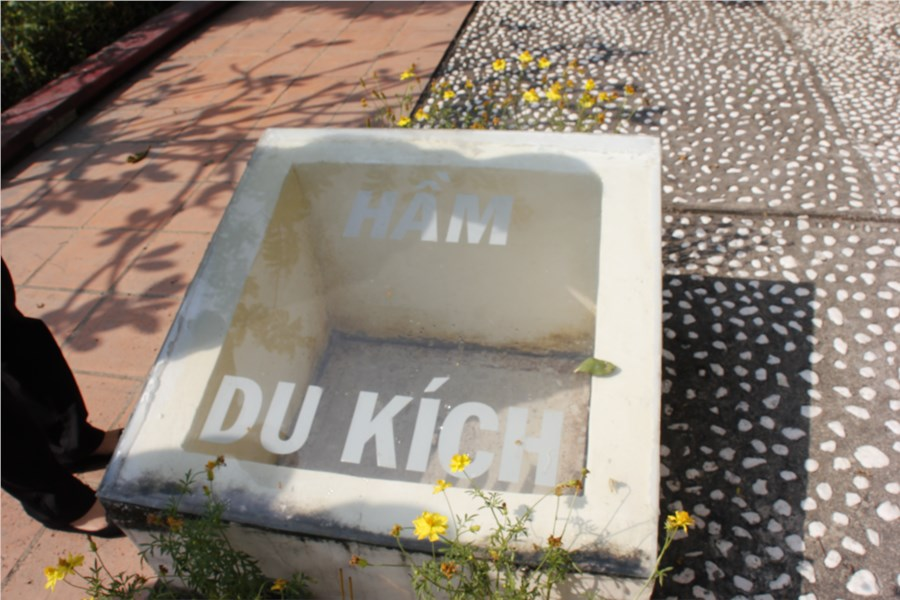 Ảnh 5